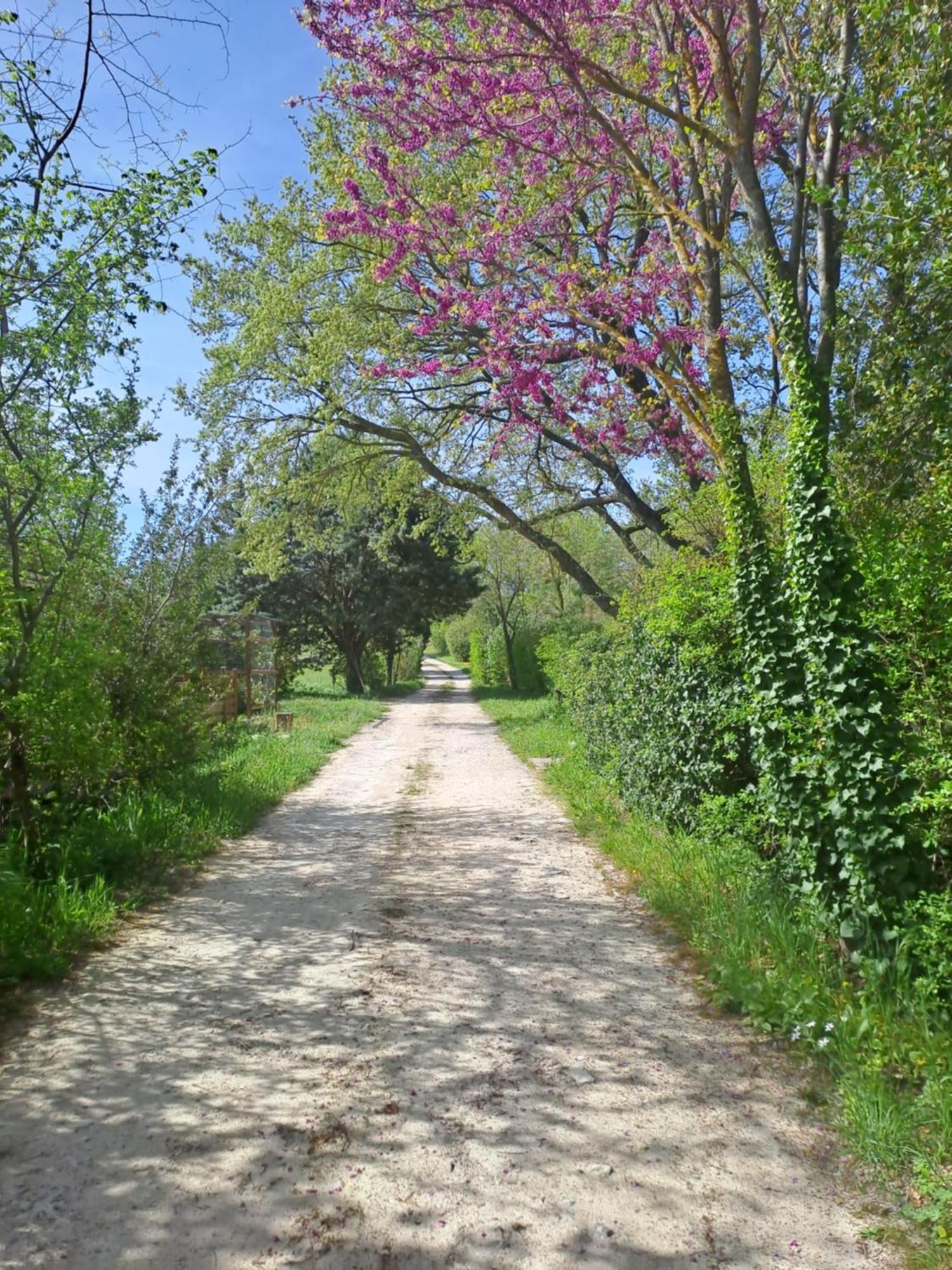 T2 Au Naturel 普罗旺斯地区艾克斯 外观 照片